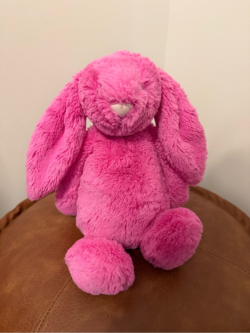 Hot Pink Jellycat Medium Bunny